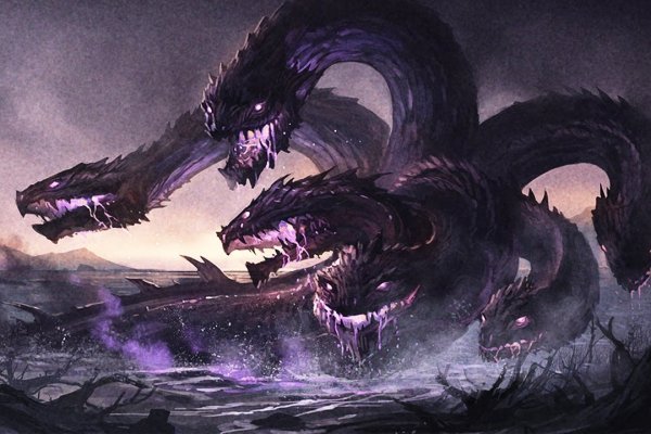 Kraken whitenet sliv php