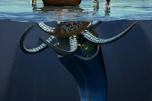 Kraken 17 at net