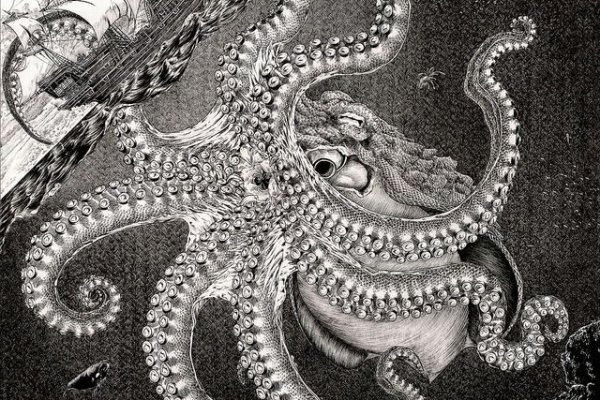 Kraken 22 аt