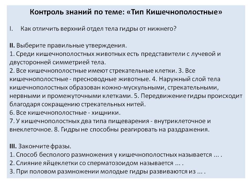 Кракен зон